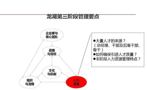 龍湖企業(yè)管理與運(yùn)營(yíng)精細(xì)化管理之道